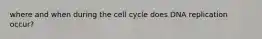 where and when during the cell cycle does DNA replication occur?