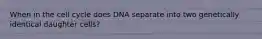 When in the cell cycle does DNA separate into two genetically identical daughter cells?