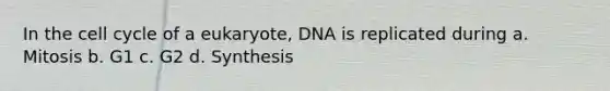 In the cell cycle of a eukaryote, DNA is replicated during a. Mitosis b. G1 c. G2 d. Synthesis