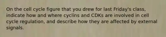 On the cell cycle figure that you drew for last Friday's class, indicate how and where cyclins and CDKs are involved in cell cycle regulation, and describe how they are affected by external signals.