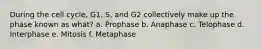 During the cell cycle, G1, S, and G2 collectively make up the phase known as what? a. Prophase b. Anaphase c. Telophase d. Interphase e. Mitosis f. Metaphase