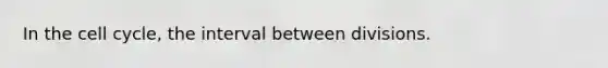 In the cell cycle, the interval between divisions.