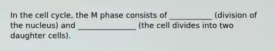 In the cell cycle, the M phase consists of ___________ (division of the nucleus) and _______________ (the cell divides into two daughter cells).