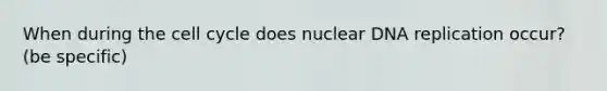 When during the <a href='https://www.questionai.com/knowledge/keQNMM7c75-cell-cycle' class='anchor-knowledge'>cell cycle</a> does nuclear <a href='https://www.questionai.com/knowledge/kofV2VQU2J-dna-replication' class='anchor-knowledge'>dna replication</a> occur? (be specific)