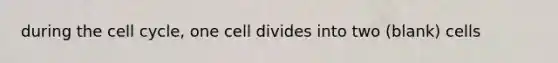 during the cell cycle, one cell divides into two (blank) cells