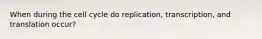 When during the cell cycle do replication, transcription, and translation occur?