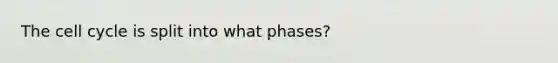 The cell cycle is split into what phases?