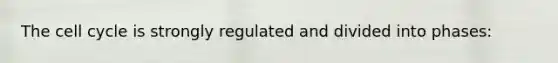 The cell cycle is strongly regulated and divided into phases: