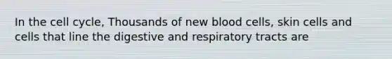 In the cell cycle, Thousands of new blood cells, skin cells and cells that line the digestive and respiratory tracts are