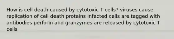 How is cell death caused by cytotoxic T cells? viruses cause replication of cell death proteins infected cells are tagged with antibodies perforin and granzymes are released by cytotoxic T cells