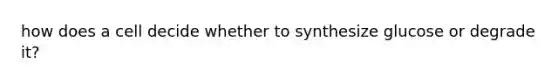 how does a cell decide whether to synthesize glucose or degrade it?