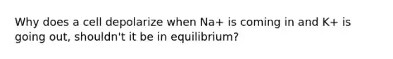 Why does a cell depolarize when Na+ is coming in and K+ is going out, shouldn't it be in equilibrium?