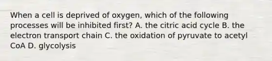 When a cell is deprived of oxygen, which of the following processes will be inhibited first? A. the citric acid cycle B. <a href='https://www.questionai.com/knowledge/k57oGBr0HP-the-electron-transport-chain' class='anchor-knowledge'>the electron transport chain</a> C. the oxidation of pyruvate to acetyl CoA D. glycolysis