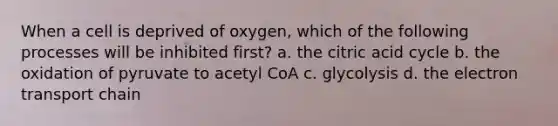 When a cell is deprived of oxygen, which of the following processes will be inhibited first? a. the citric acid cycle b. the oxidation of pyruvate to acetyl CoA c. glycolysis d. the electron transport chain