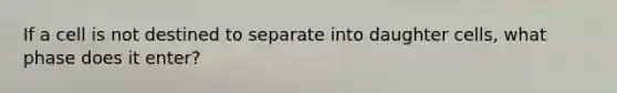 If a cell is not destined to separate into daughter cells, what phase does it enter?