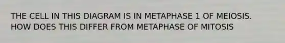 THE CELL IN THIS DIAGRAM IS IN METAPHASE 1 OF MEIOSIS. HOW DOES THIS DIFFER FROM METAPHASE OF MITOSIS