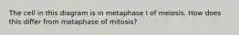 The cell in this diagram is in metaphase I of meiosis. How does this differ from metaphase of mitosis?