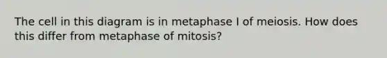 The cell in this diagram is in metaphase I of meiosis. How does this differ from metaphase of mitosis?