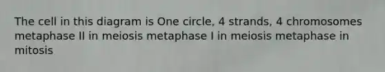 The cell in this diagram is One circle, 4 strands, 4 chromosomes metaphase II in meiosis metaphase I in meiosis metaphase in mitosis