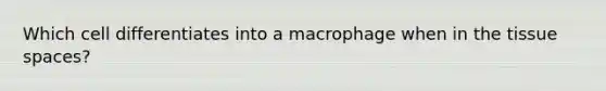 Which cell differentiates into a macrophage when in the tissue spaces?