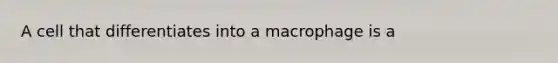 A cell that differentiates into a macrophage is a