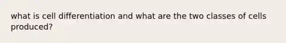 what is cell differentiation and what are the two classes of cells produced?