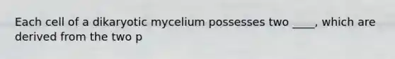 Each cell of a dikaryotic mycelium possesses two ____, which are derived from the two p