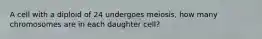 A cell with a diploid of 24 undergoes meiosis, how many chromosomes are in each daughter cell?