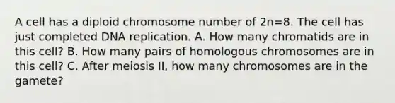 A cell has a diploid chromosome number of 2n=8. The cell has just completed <a href='https://www.questionai.com/knowledge/kofV2VQU2J-dna-replication' class='anchor-knowledge'>dna replication</a>. A. How many chromatids are in this cell? B. How many pairs of homologous chromosomes are in this cell? C. After <a href='https://www.questionai.com/knowledge/krlvDMYQWR-meiosis-i' class='anchor-knowledge'>meiosis i</a>I, how many chromosomes are in the gamete?