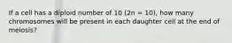 If a cell has a diploid number of 10 (2n = 10), how many chromosomes will be present in each daughter cell at the end of meiosis?