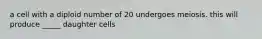 a cell with a diploid number of 20 undergoes meiosis. this will produce _____ daughter cells