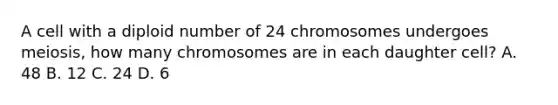 A cell with a diploid number of 24 chromosomes undergoes meiosis, how many chromosomes are in each daughter cell? A. 48 B. 12 C. 24 D. 6