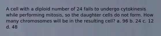 A cell with a diploid number of 24 fails to undergo cytokinesis while performing mitosis, so the daughter cells do not form. How many chromosomes will be in the resulting cell? a. 96 b. 24 c. 12 d. 48