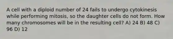 A cell with a diploid number of 24 fails to undergo cytokinesis while performing mitosis, so the daughter cells do not form. How many chromosomes will be in the resulting cell? A) 24 B) 48 C) 96 D) 12