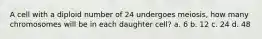 A cell with a diploid number of 24 undergoes meiosis, how many chromosomes will be in each daughter cell? a. 6 b. 12 c. 24 d. 48