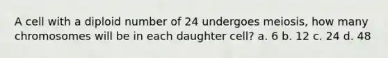 A cell with a diploid number of 24 undergoes meiosis, how many chromosomes will be in each daughter cell? a. 6 b. 12 c. 24 d. 48