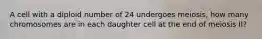 A cell with a diploid number of 24 undergoes meiosis, how many chromosomes are in each daughter cell at the end of meiosis II?