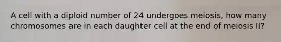 A cell with a diploid number of 24 undergoes meiosis, how many chromosomes are in each daughter cell at the end of meiosis II?