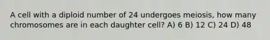 A cell with a diploid number of 24 undergoes meiosis, how many chromosomes are in each daughter cell? A) 6 B) 12 C) 24 D) 48