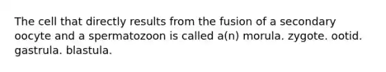 The cell that directly results from the fusion of a secondary oocyte and a spermatozoon is called a(n) morula. zygote. ootid. gastrula. blastula.