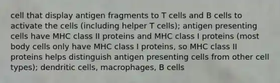 cell that display antigen fragments to T cells and B cells to activate the cells (including helper T cells); antigen presenting cells have MHC class II proteins and MHC class I proteins (most body cells only have MHC class I proteins, so MHC class II proteins helps distinguish antigen presenting cells from other cell types); dendritic cells, macrophages, B cells