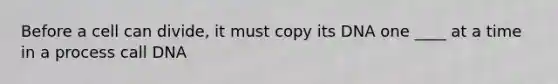 Before a cell can divide, it must copy its DNA one ____ at a time in a process call DNA