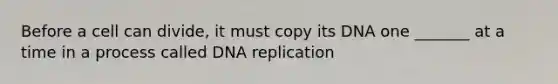 Before a cell can divide, it must copy its DNA one _______ at a time in a process called DNA replication