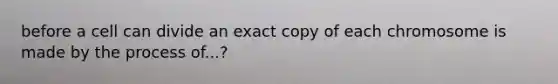 before a cell can divide an exact copy of each chromosome is made by the process of...?