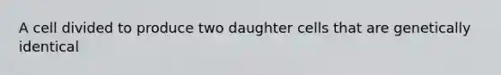 A cell divided to produce two daughter cells that are genetically identical