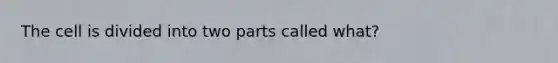 The cell is divided into two parts called what?