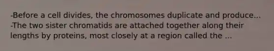 -Before a cell divides, the chromosomes duplicate and produce... -The two sister chromatids are attached together along their lengths by proteins, most closely at a region called the ...