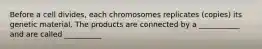 Before a cell divides, each chromosomes replicates (copies) its genetic material. The products are connected by a ___________ and are called __________