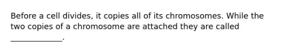 Before a cell divides, it copies all of its chromosomes. While the two copies of a chromosome are attached they are called _____________.