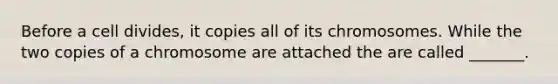 Before a cell divides, it copies all of its chromosomes. While the two copies of a chromosome are attached the are called _______.